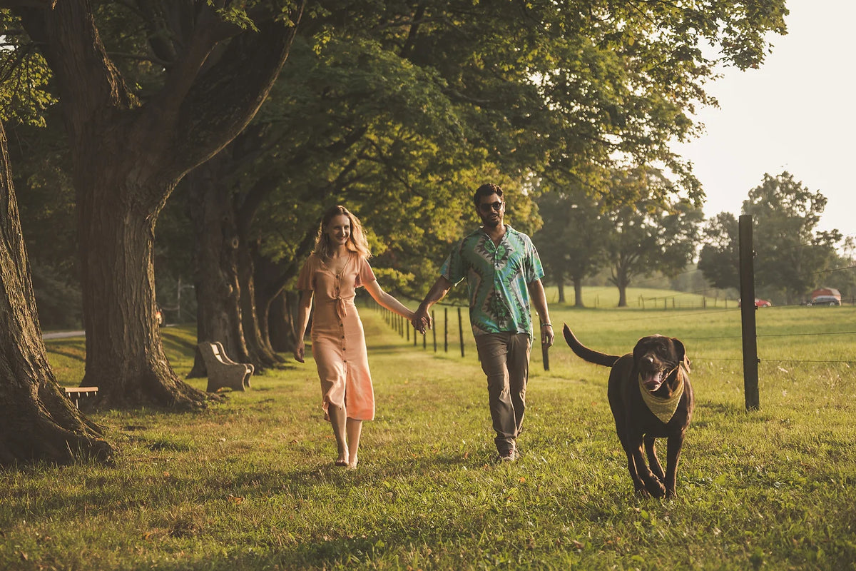A couple walking hand in hand with their dog through a sunlit tree-lined meadow